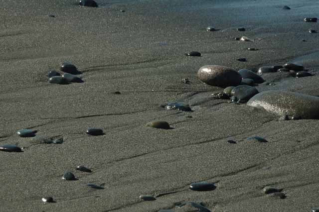 the Dungeness Spit